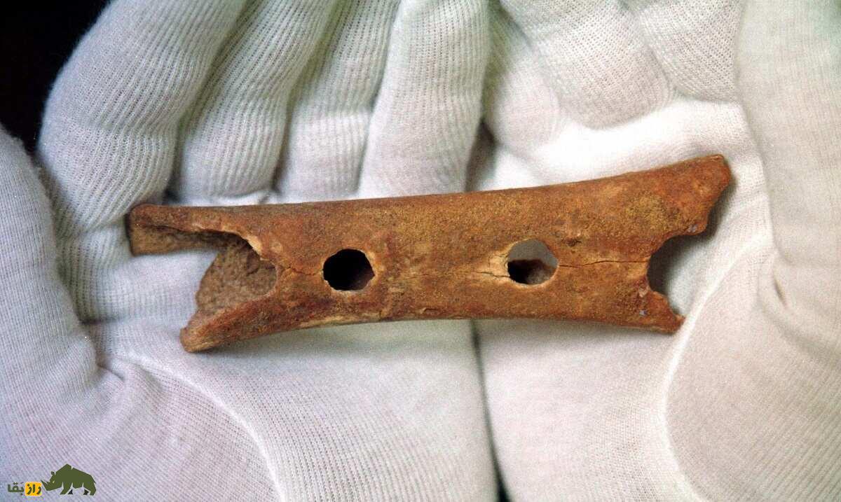 نئاندرتالها با چه ابزاری به موسیقی گوش میدادند نئاندرتالها با چه ابزاری به موسیقی گوش میدادند
