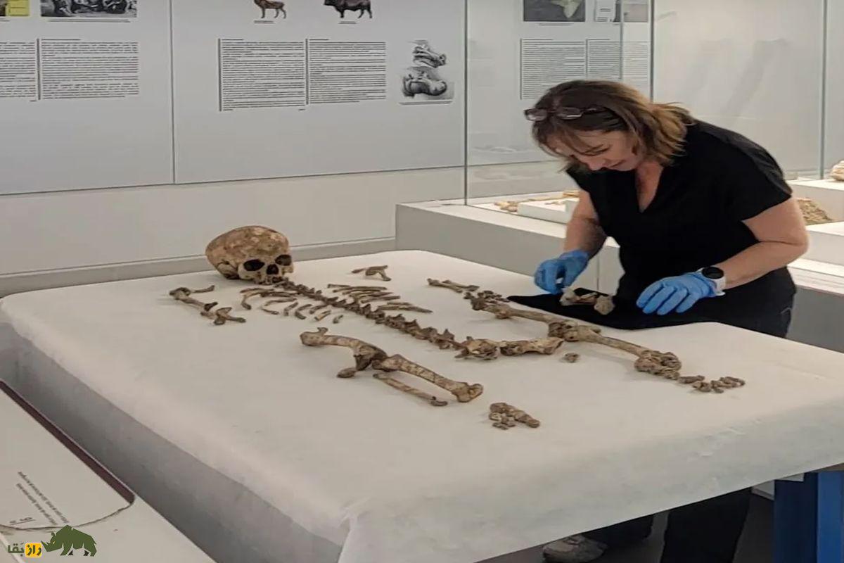 فردی درحال  مطالع اسکلت