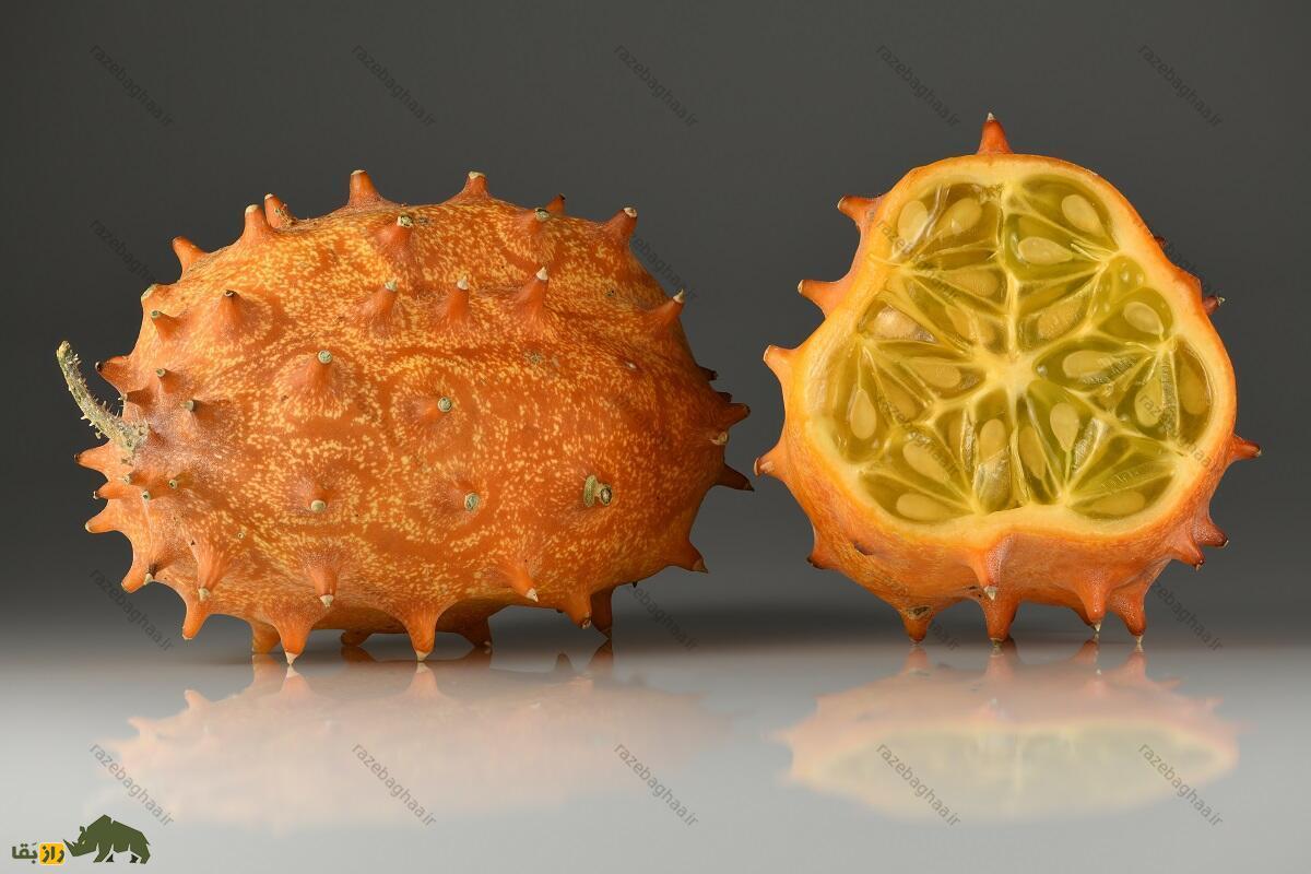 کیوانو یا مِلون شاخ‌دار؛ میوه عجیبی با طعم ترش و شیرین که شبیه موجودات فضایی است