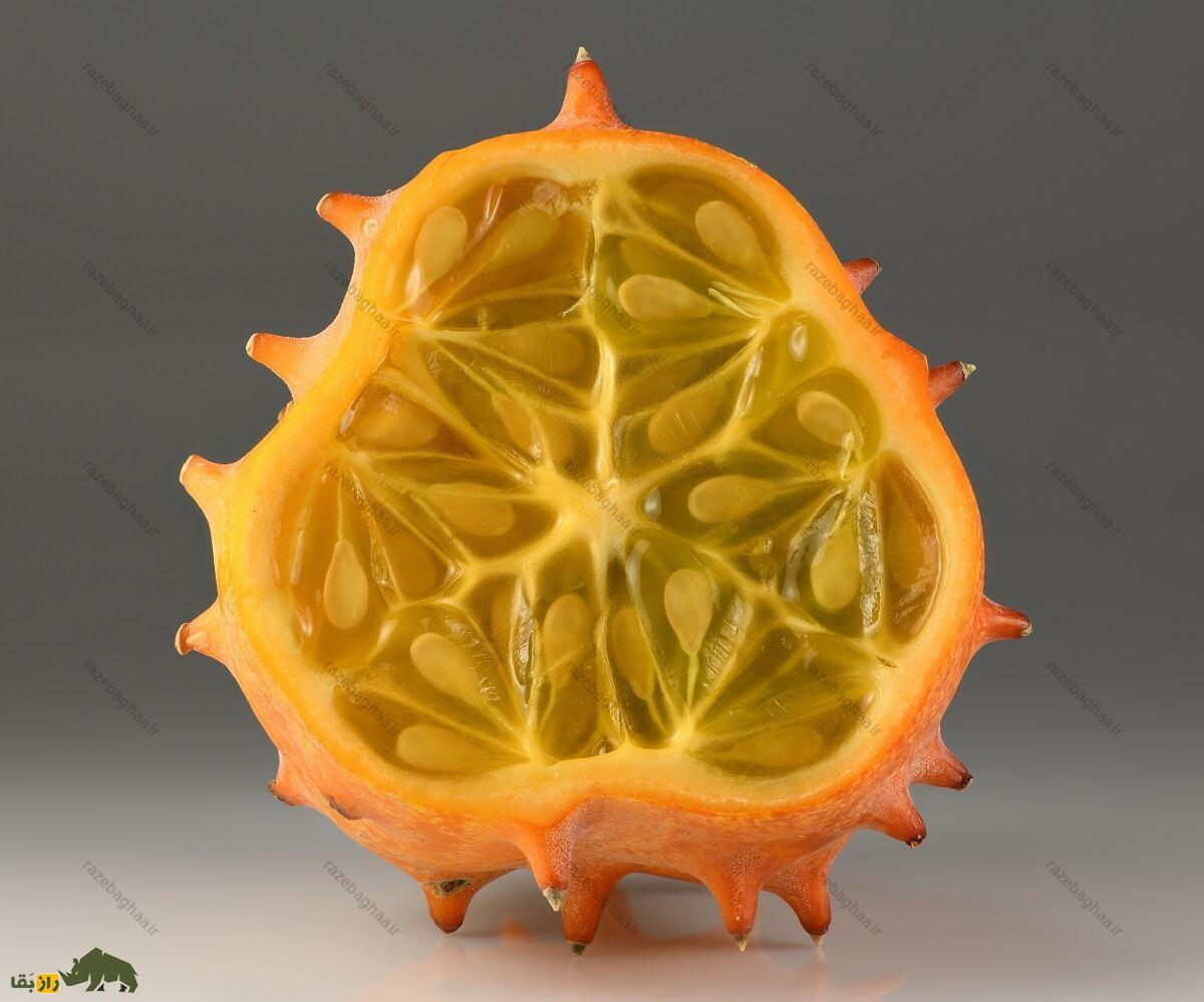 کیوانو یا مِلون شاخ‌دار؛ میوه عجیبی با طعم ترش و شیرین که شبیه موجودات فضایی است