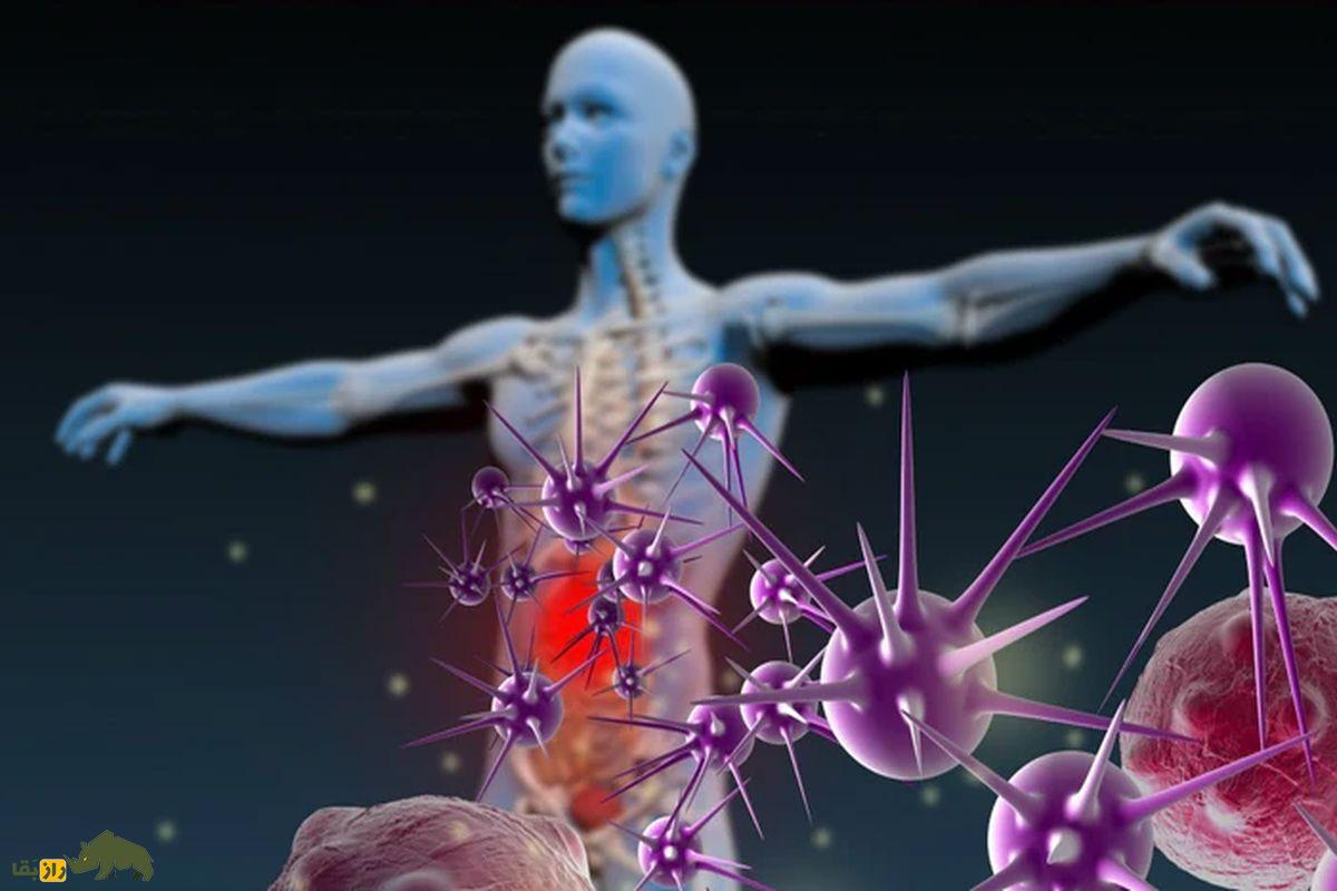 دانشمندان موفق به کشف راز جاودانگی انسان شدند سیستم ایمنی بدن
