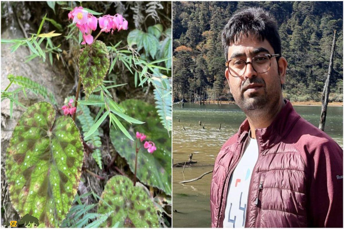 یک مرد کنار گونه جدید گیاهی