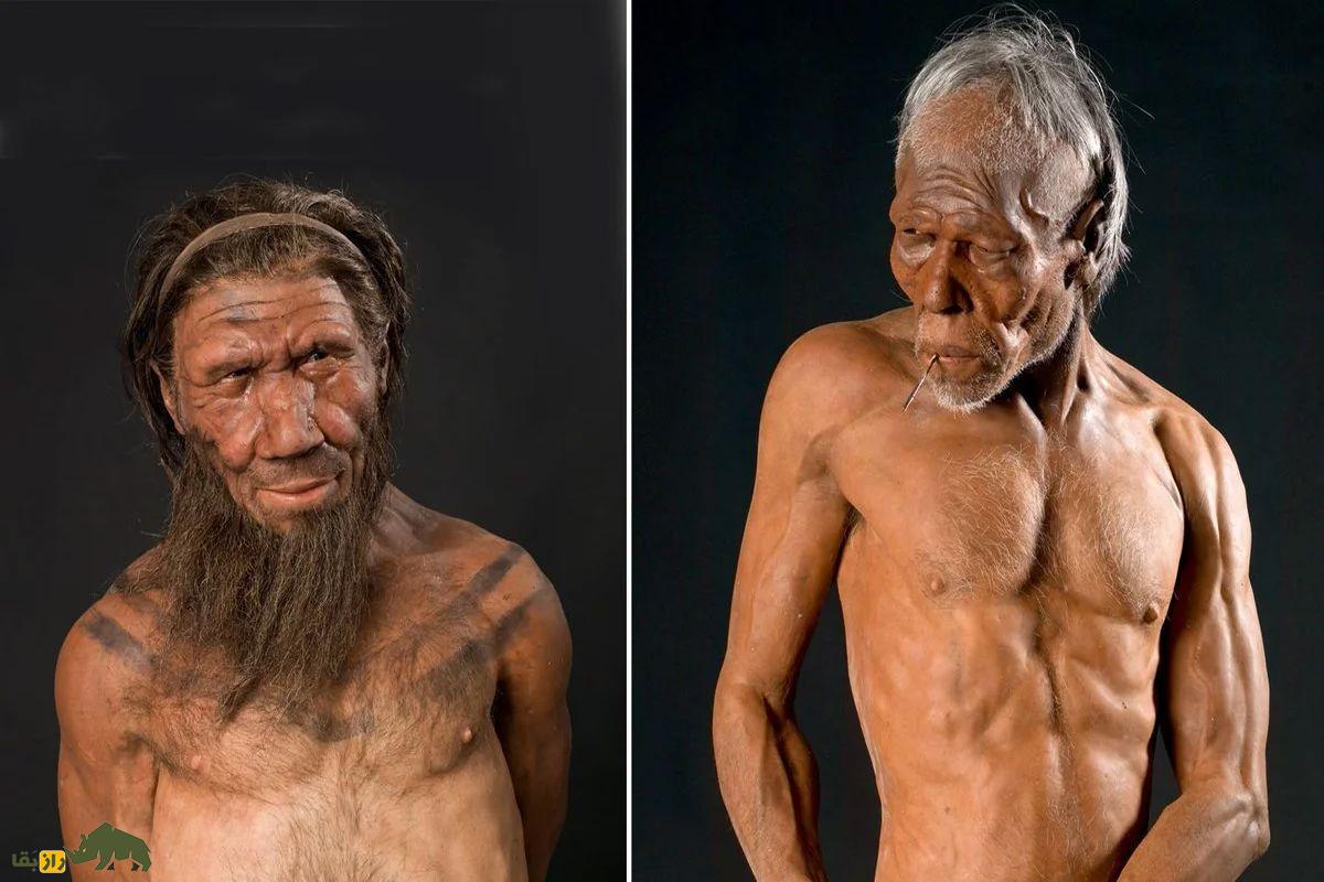 انسان نیاندرتال لخت