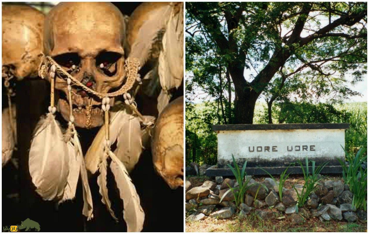 (تصاویر +18) مشهورترین آدمخوار جهان؛ رئیس قبیله فیجیان که  ۸۷۲ نفر را به تنهایی خورد!