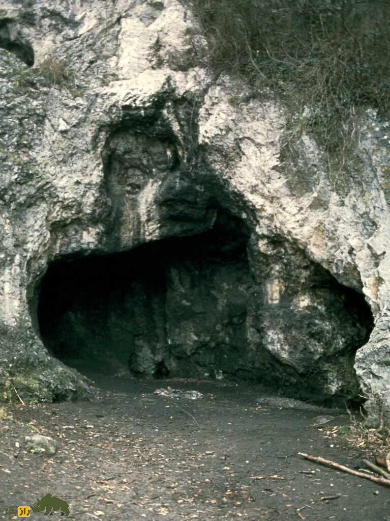 خوشمزهترین غذای نئاندرتالها چه بود؟ خوشمزهترین غذای نئاندرتالها چه بود؟