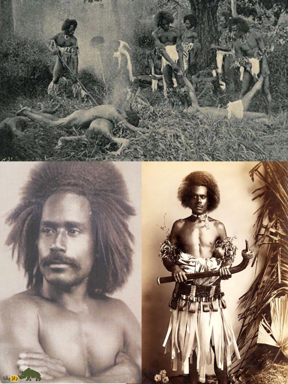 (تصاویر +18) مشهورترین آدمخوار جهان؛ رئیس قبیله فیجیان که  ۸۷۲ نفر را به تنهایی خورد!