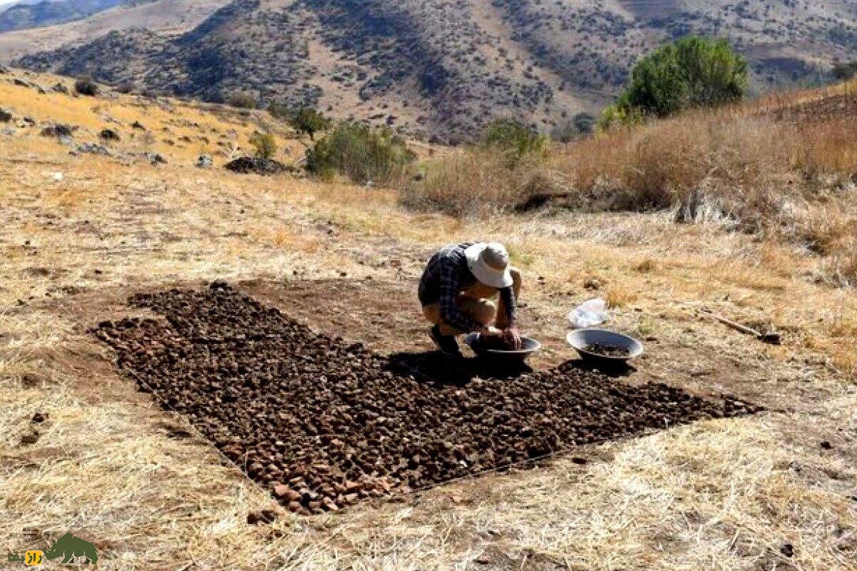 کشف محوطه باستانی تولید آهن در جنوب دریاچه ارومیه