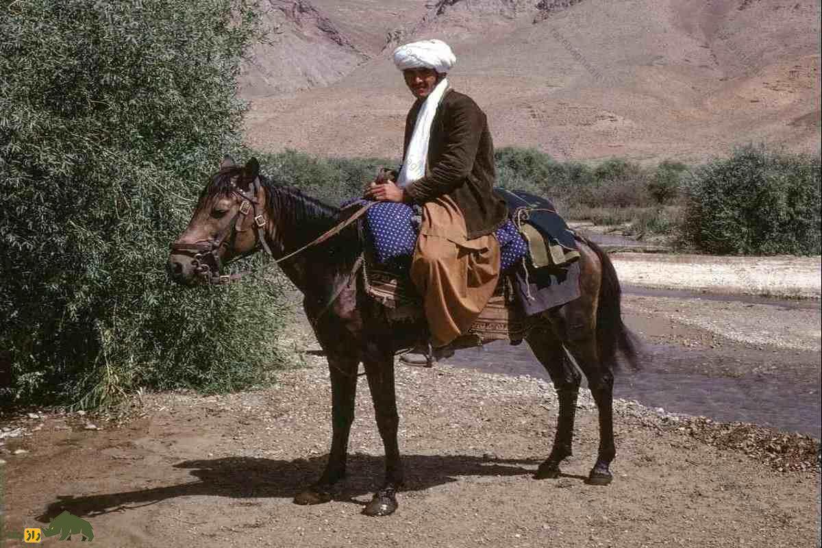 اسب قطغنی یا کابُلی؛ اسب افغانستانی که هیچگاه بیمار نمیشود و در جنگ با طالبان از آن استفاده شد مرد افغانستانی نشسته روی یک اسب سیاه در کنار رودخانه