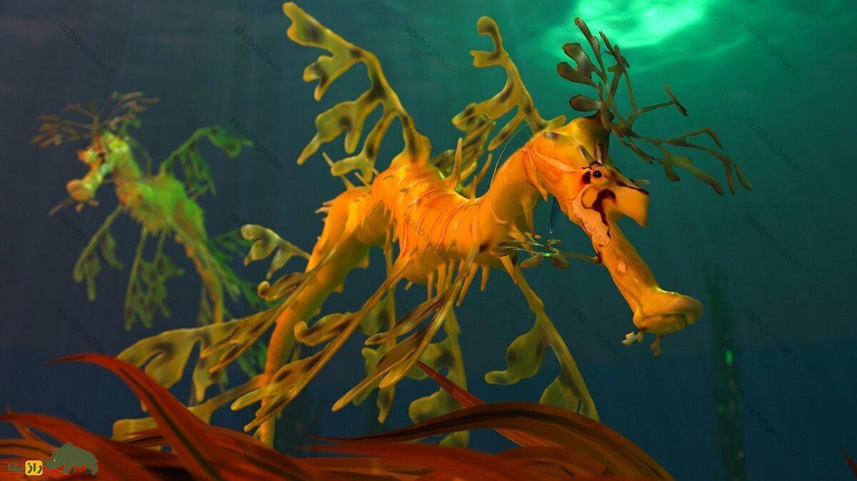 اژدهای دریایی برگدار؛ نوعی ماهی که معده و فلس ندارد و کاملا شبیه گیاه است اژدهای دریایی برگدار نارنجی رنگ