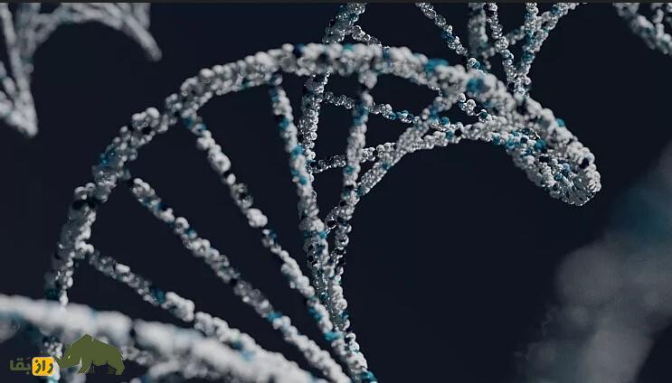 هشدار دانشمندان نسبت به خطر مهلک حیات آینهای: «غول را از بطری بیرون نیاورید» هشدار دانشمندان نسبت به خطر مهلک حیات آینهای: «غول را از بطری بیرون نیاورید»