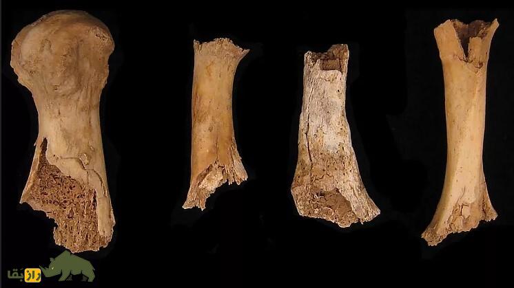 کشف شواهدی تکاندهنده از آدمخواری در گودالی مرموز و ۲۰۰۰ ساله! کشف شواهدی تکاندهنده از آدمخواری در گودالی مرموز و ۲۰۰۰ ساله!