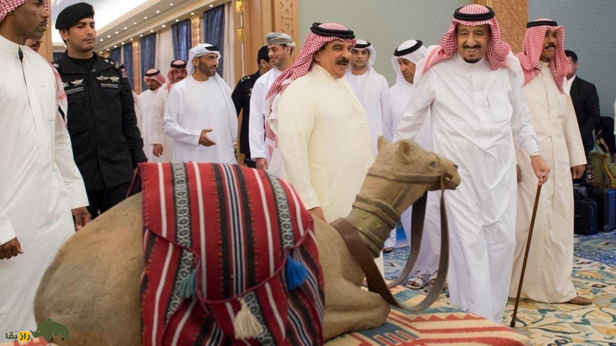 محمد بن سلمان عاشق چه حیواناتی است؟