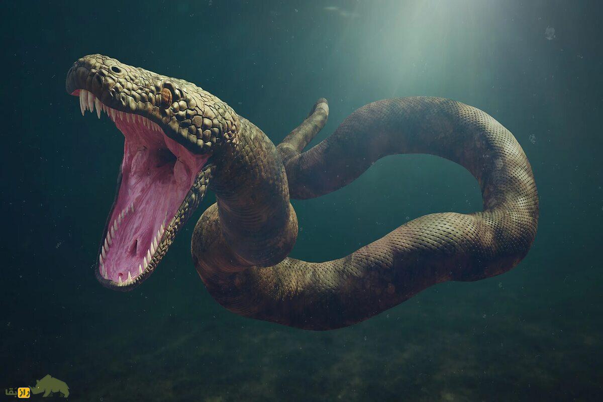 تایتانوبوا؛ بزرگ‌ترین مار تاریخ با طول ۱۲ متر و وزن ۱۱۳۵ کیلوگرم که زمین را تسخیر کرد!