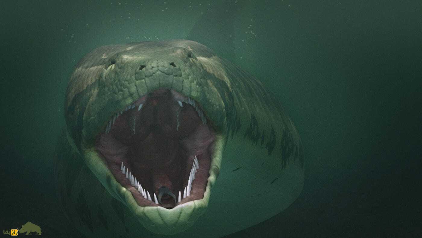 تایتانوبوا؛ بزرگ‌ترین مار تاریخ با طول ۱۲ متر و وزن ۱۱۳۵ کیلوگرم که زمین را تسخیر کرد!