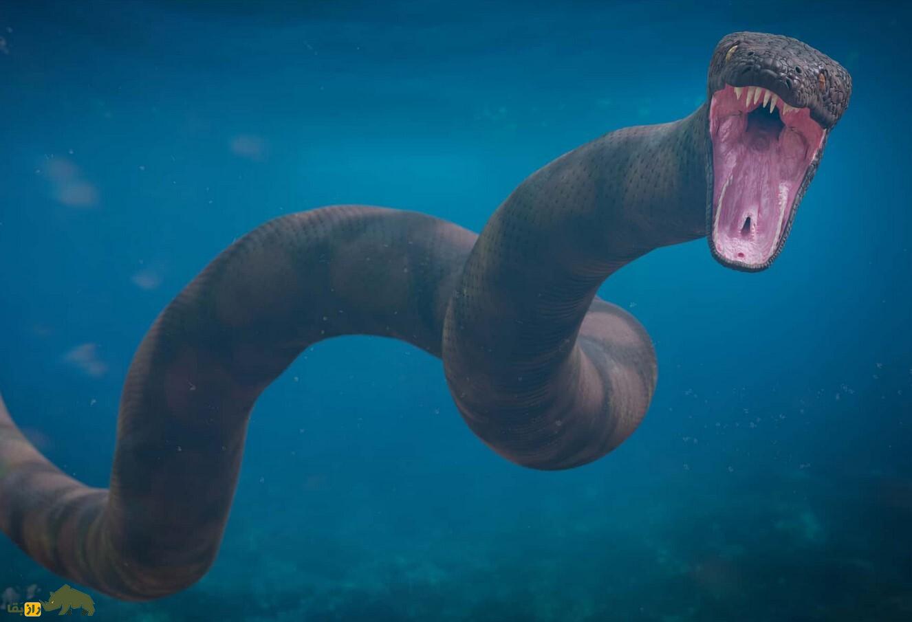 تایتانوبوا؛ بزرگ‌ترین مار تاریخ با طول ۱۲ متر و وزن ۱۱۳۵ کیلوگرم که زمین را تسخیر کرد!