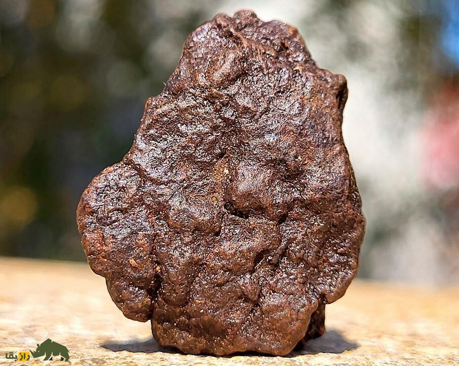 این شهاب سنگ از فضا برای زمین طلا آورد!