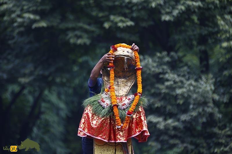 جشن مرگبار «نَگ پانچَمی»؛ مردم برای شانس به مار‌ها شیر و برنج می‌دهند