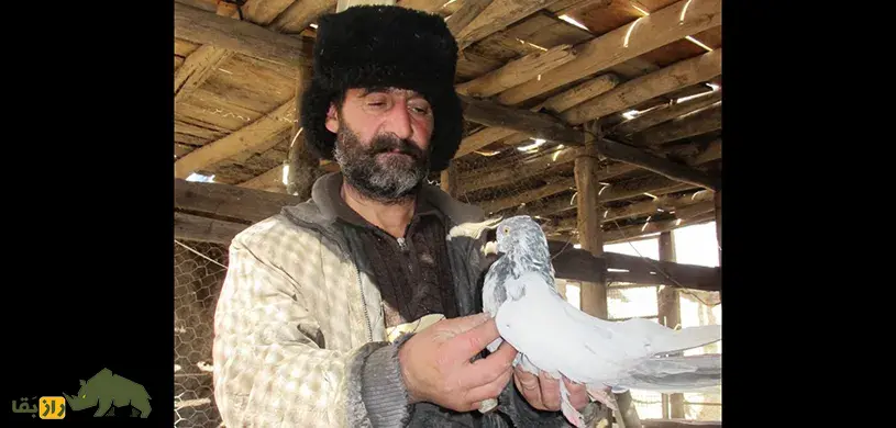 محمد علی عنابی؛ کبوترباز افسانهای شاهرود که تمام زندگی و داراییهایش را خرج کبوتربازی کرد محمد علی عنابی؛ کبوترباز افسانهای شاهرود که تمام زندگی و داراییهایش را خرج کبوتربازی کرد