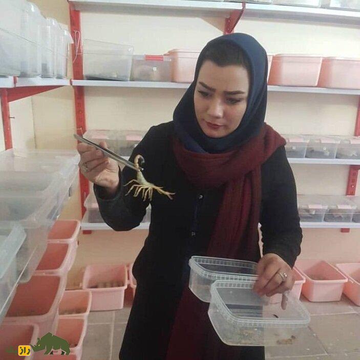 سولماز ابراهیمی؛ روانشناسی که تبدیل به ملکه مار و عقرب ایران شد سولماز ابراهیمی؛ روانشناسی که تبدیل به ملکه مار و عقرب ایران شد