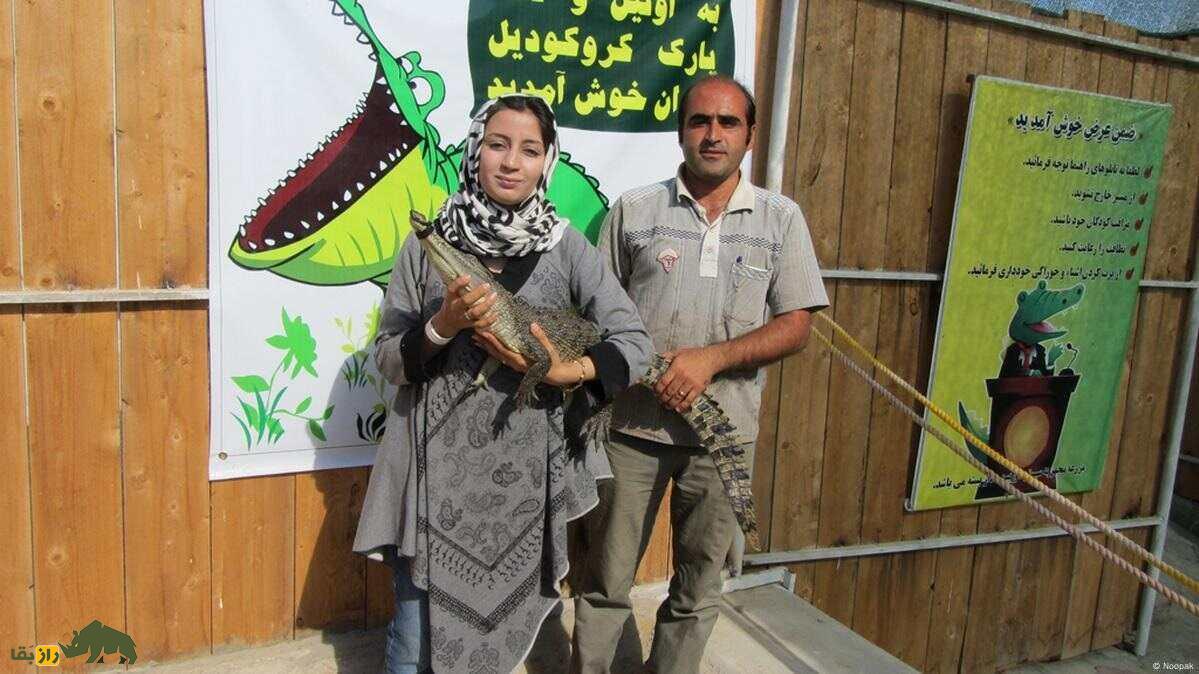 مژگان روستایی معروف به ملکه کروکودیلها؛ داستان زنی که کارمندی را رها کرد و به اعماق دنیای غولهای ترسناک رفت مژگان روستایی معروف به ملکه کروکودیلها