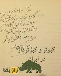 رضا عشقیار؛ اسطوره کبوتربازی ایران که مانع سربریدن کبوترها شد و کبوتربازان مدیون او هستند رضا عشقیار؛ اسطوره کبوتربازی ایران که مانع سربریدن کبوترها شد و کبوتربازان مدیون او هستند