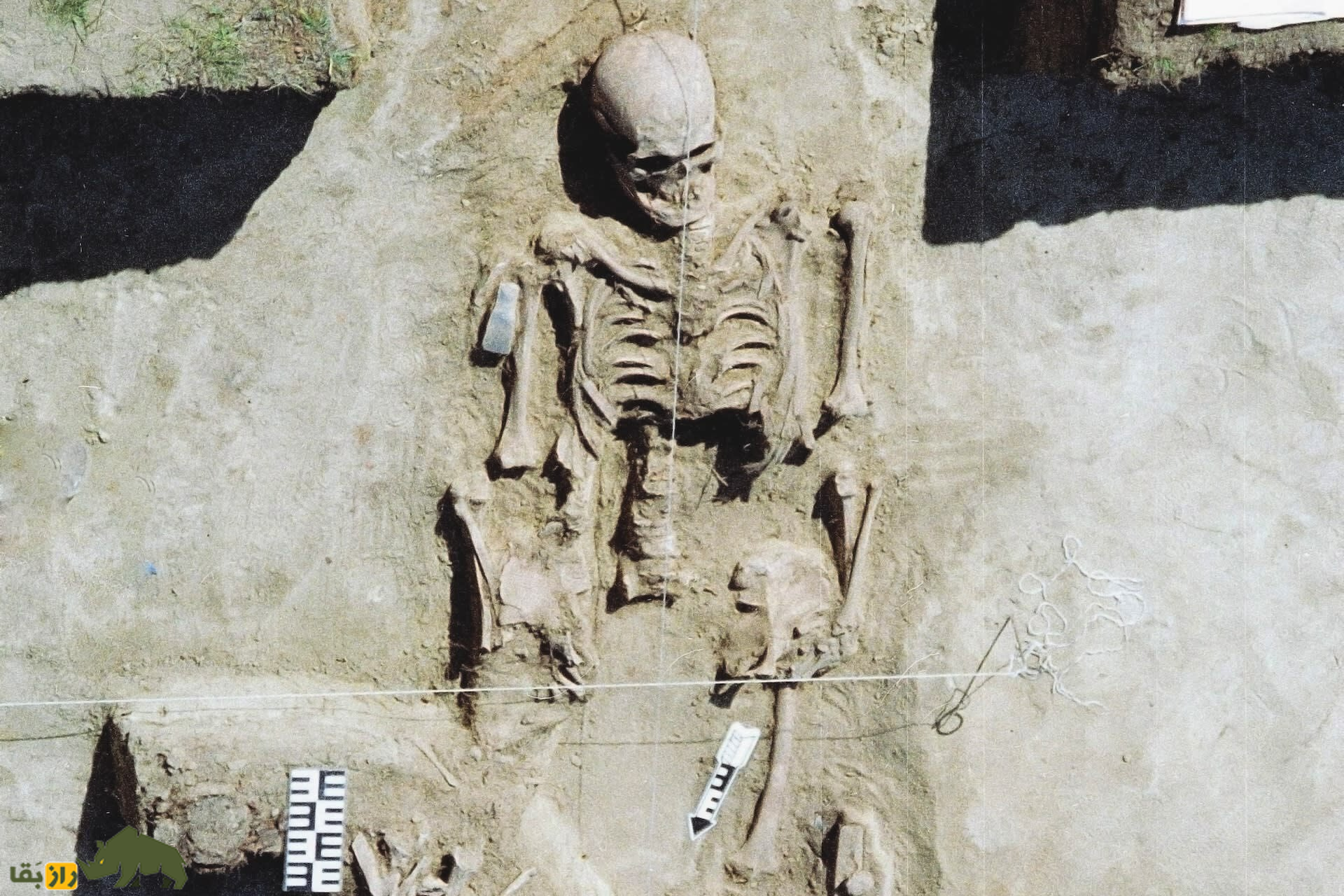 سرباز قطبی؛ جنگجوی ۴۰۰۰ ساله زنده شد!