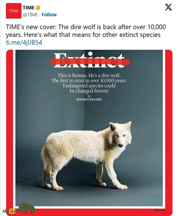 حیوان خانگی عجیب ایلان ماسک؛ میلیاردر معروف علاقهاش را فاش کرد! حیوان خانگی عجیب ایلان ماسک؛ میلیاردر معروف علاقهاش را فاش کرد!