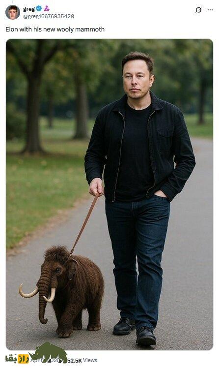 حیوان خانگی عجیب ایلان ماسک؛ میلیاردر معروف علاقهاش را فاش کرد! حیوان خانگی عجیب ایلان ماسک؛ میلیاردر معروف علاقهاش را فاش کرد!