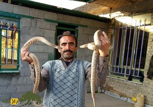 خداداد مروتی مارگیر معروف کرمانشاهی