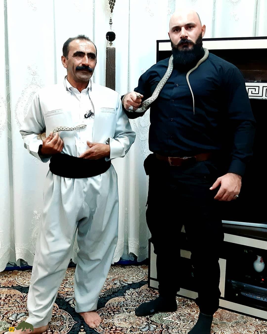 خداداد مروتی مارگیر معروف کرمانشاهی