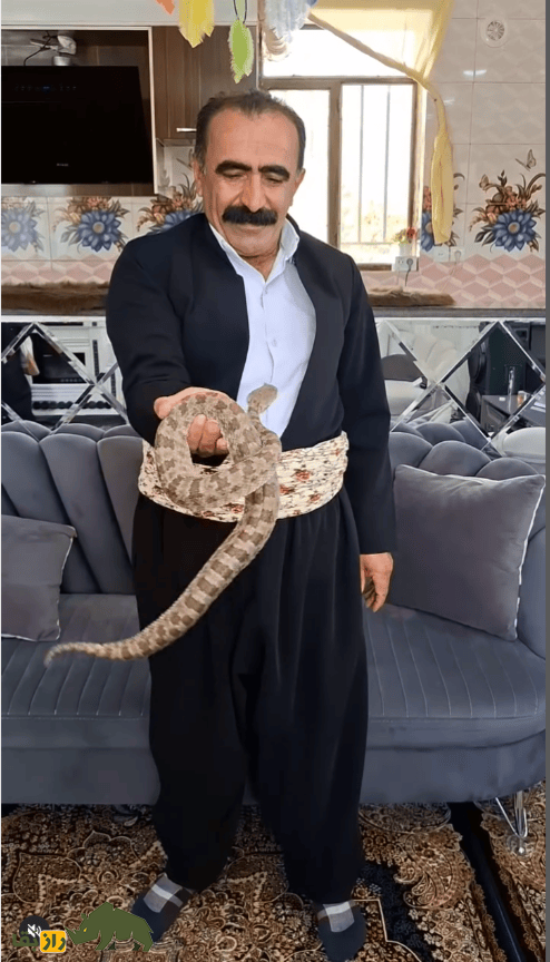 خداداد مروتی مارگیر معروف کرمانشاهی