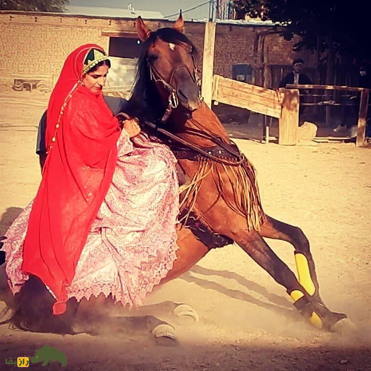 فائزه غلامی ارجنکی؛ ملکه مارهای ایران و رکورددار گینس که در سن ۱۱ سالگی ۱۲ ساعت با ۳۰ مار سمی زندگی کرد فائزه غلامی ارجنکی