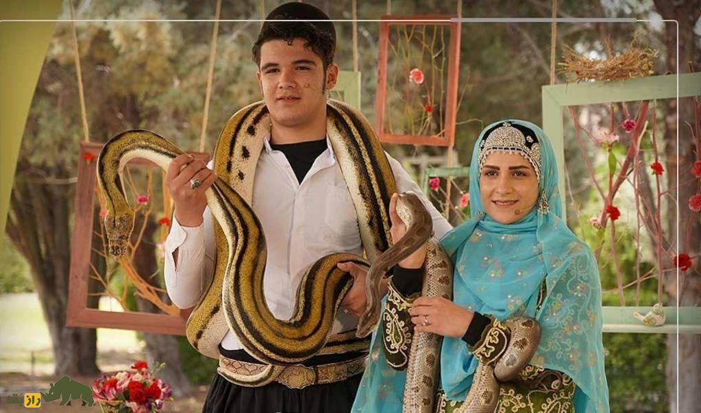 فائزه غلامی ارجنکی؛ ملکه مارهای ایران و رکورددار گینس که در سن ۱۱ سالگی ۱۲ ساعت با ۳۰ مار سمی زندگی کرد فائزه غلامی ارجنکی