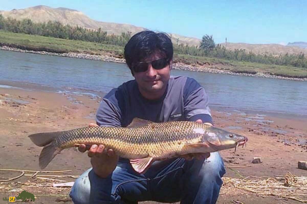 ماهیگیری در رودخانهها و دریاچههای ایران؛ نگاهی به شمال، مرکز و جنوب کشور ماهیگیری در رودخانهها و دریاچههای ایران؛ نگاهی به شمال، مرکز و جنوب کشور