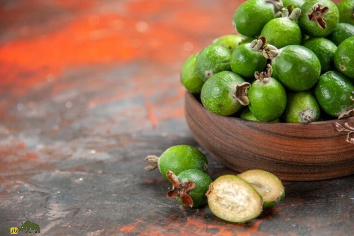 میوه مانک؛ شیرینتر از قند، بدون کالری و با خواص درمانی برای رژیمهای مختلف میوه مانک؛ شیرینتر از قند، بدون کالری و با خواص درمانی برای رژیمهای مختلف