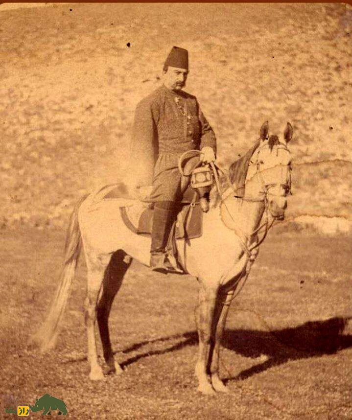 «گُلاب»؛ اسب زیبای عربی که ناصرالدین شاه عاشق آن بود و تاجی از جنس طلا داشت! «گُلاب»؛ اسب زیبای عربی که ناصرالدین شاه عاشق آن بود و تاجی از جنس طلا داشت!