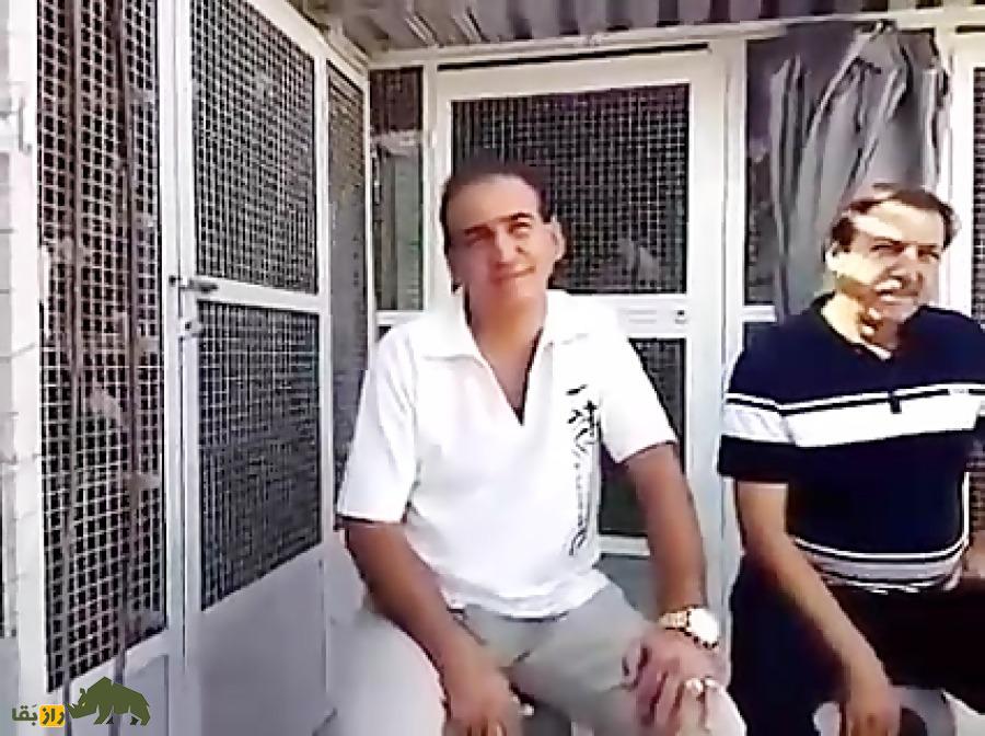 حاج علی محسنی معروف به علی شرمن؛ کبوترباز معروف تهران که سالها بومدار حاج محمد فرحزادی بود و بنیانگذار «کبوتر ارتشی» است حاج علی محسنی معروف به علی شرمن