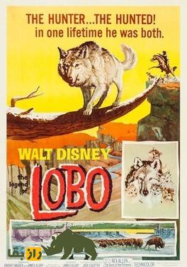 گرگ لوبو؛ شکار مرگبار آخرین غول وحشی نیو مکزیکو و نبرد بی‌پایان با انسان‌ها