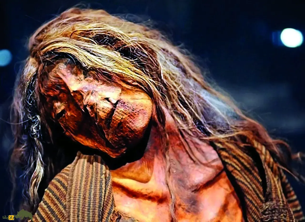 اکسیر جوانی و تقویت قوای جنسی؛ چرا ثروتمندان ۵۰۰ سال پیش جسد‌های مومیایی شده مصری را می‌خوردند؟