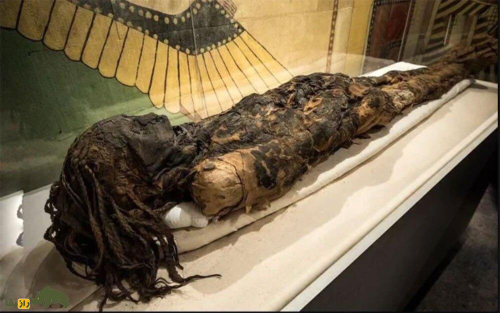 اکسیر جوانی و تقویت قوای جنسی؛ چرا ثروتمندان ۵۰۰ سال پیش جسد‌های مومیایی شده مصری را می‌خوردند؟