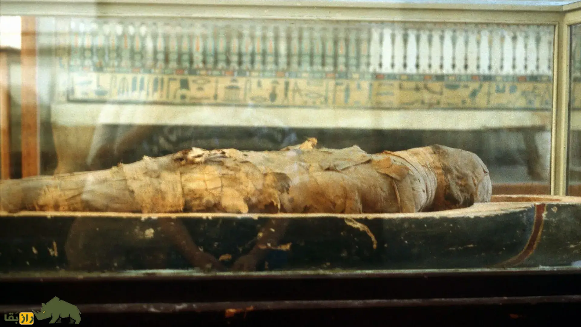 اکسیر جوانی و تقویت قوای جنسی؛ چرا ثروتمندان ۵۰۰ سال پیش جسد‌های مومیایی شده مصری را می‌خوردند؟