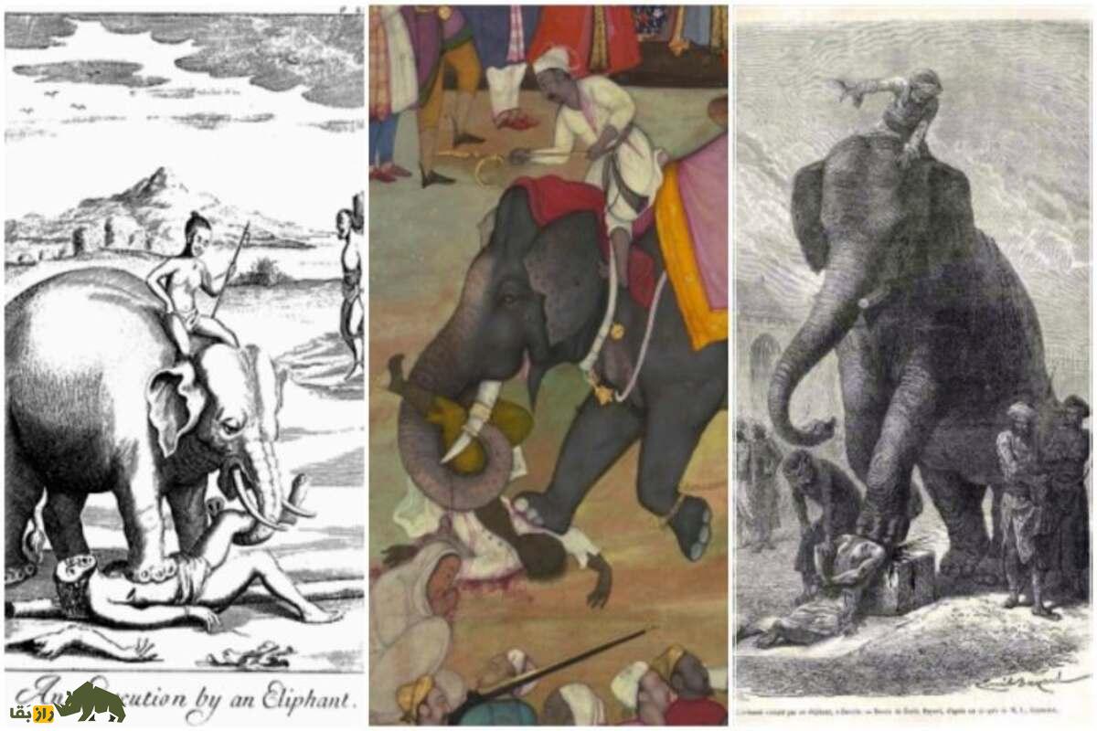 اعدام با فیل؛ یکی از وحشتناک‌ترین روش‌های مجازات در تاریخ