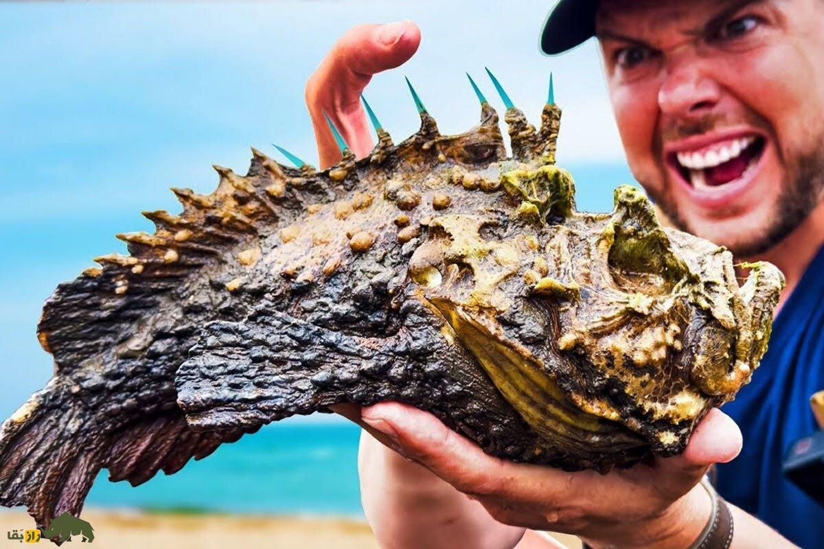 سنگ‌ماهی؛ سمی‌ترین و خطرناک‌ترین ماهی جهان و شبیه سنگ‌های باستانی که زهر مرگبار دارد و حتی بعد از مرگش انسان‌ها را نیش می‌زند