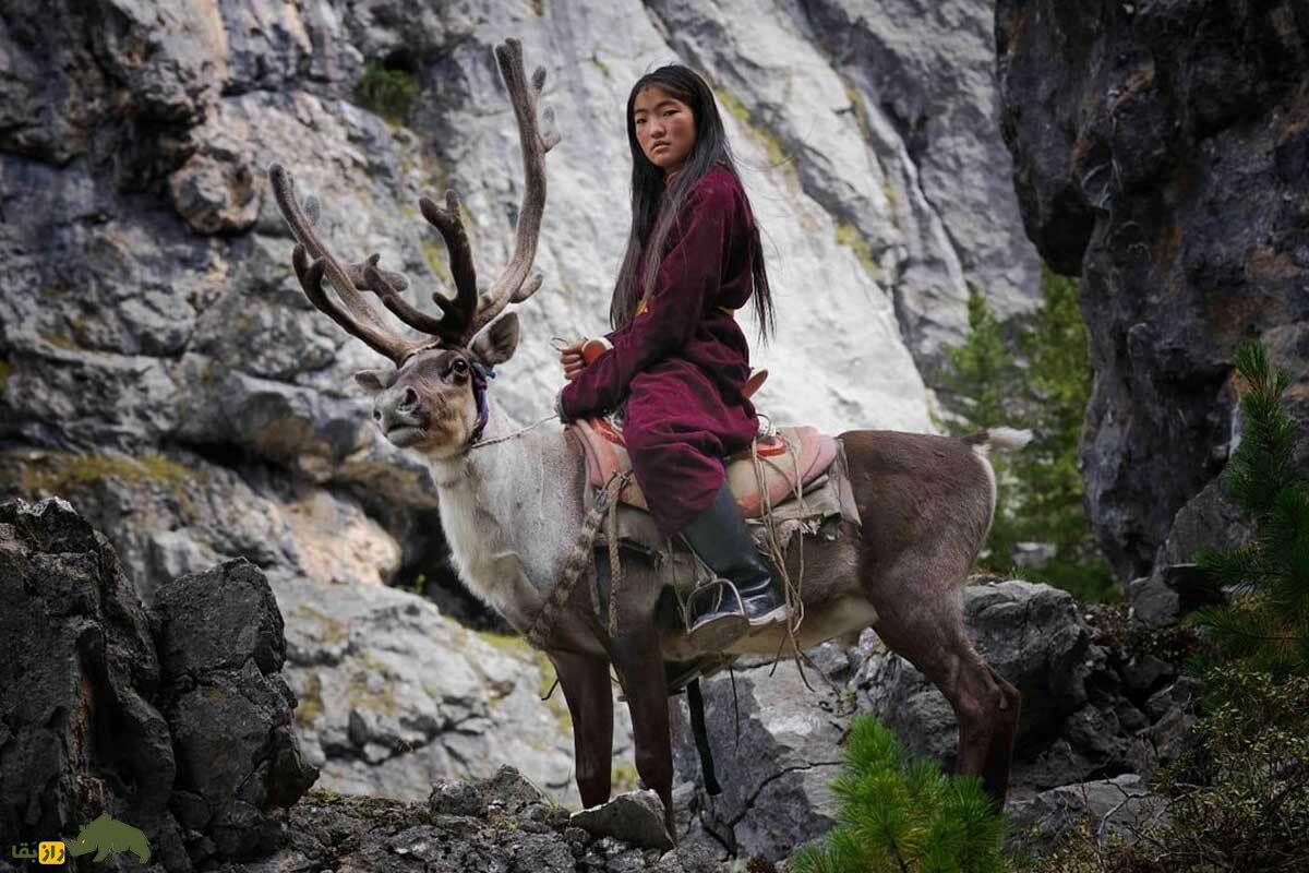 قبیله تساتان در شمال مغولستان؛ آخرین گوزن‌سواران جهان که قرن‌هاست شبیه انسان‌های اولیه زندگی می‌کنند