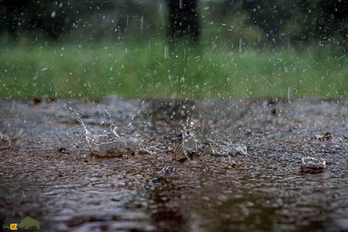 بوی خاک بعد از باران از کجا می‌آید؟ حقیقت عجیب درباره رایحه خاک خیس که از مرگی پنهان در دل زمین به‌وجود می‌آید