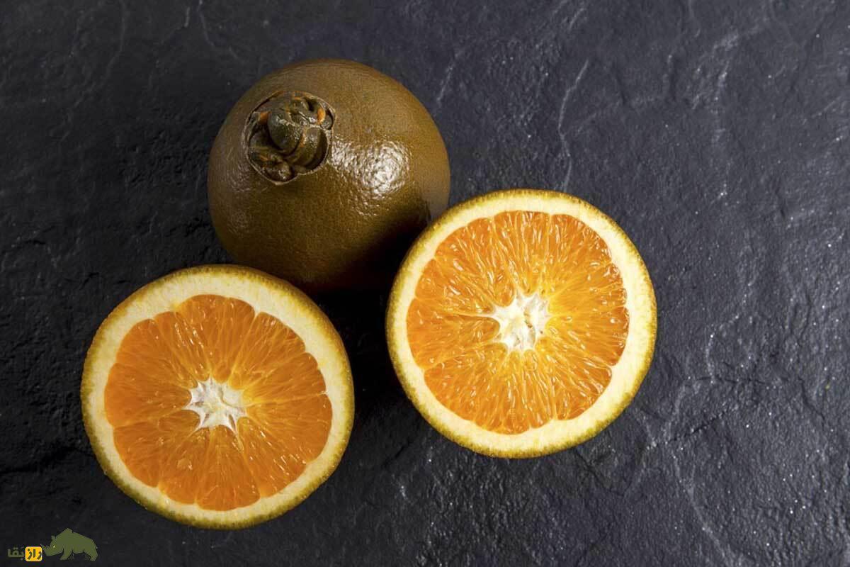 پرتقال شکلاتی؛ عجیب‌ترین پرتقال دنیا با طعم و بوی شکلات که در ایران نیز قابلیت کشت دارد و قیمت هر کیلوگرم آن تا ۶ میلیون تومان می‌رسد