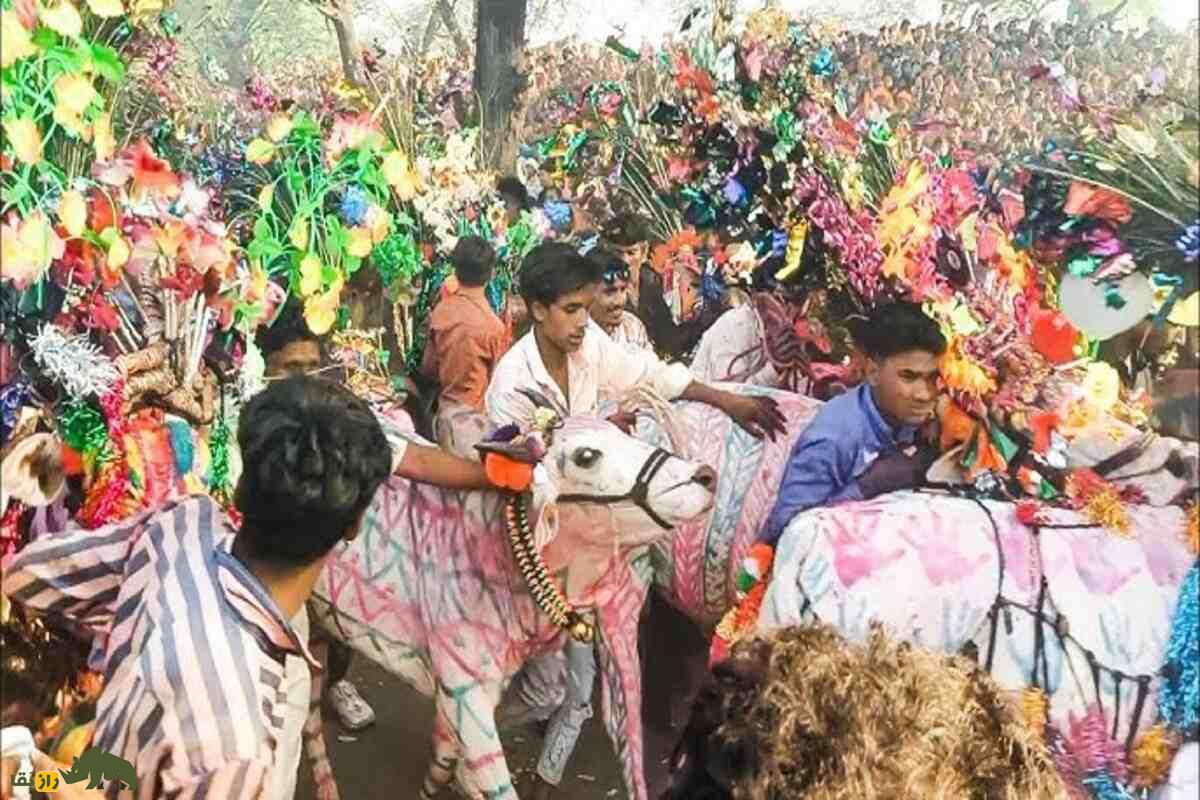 گای گوهاری؛ جشن عجیب هند که گاوها از روی مردان راه میروند تا گناهانشان پاک شود گای گوهاری؛ جشن عجیب هند که گاوها از روی مردان راه میروند تا گناهانشان پاک شود