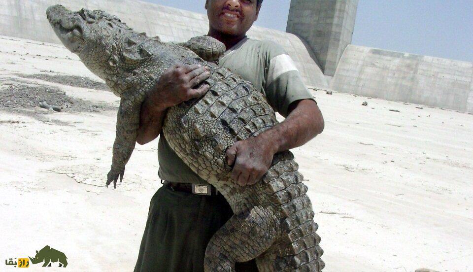 فیلمی از بومگردی ملک‌دینار شجره پدر تمساح‌های ایران جنجالی شد؛ تماس با گاندو ممنوع!