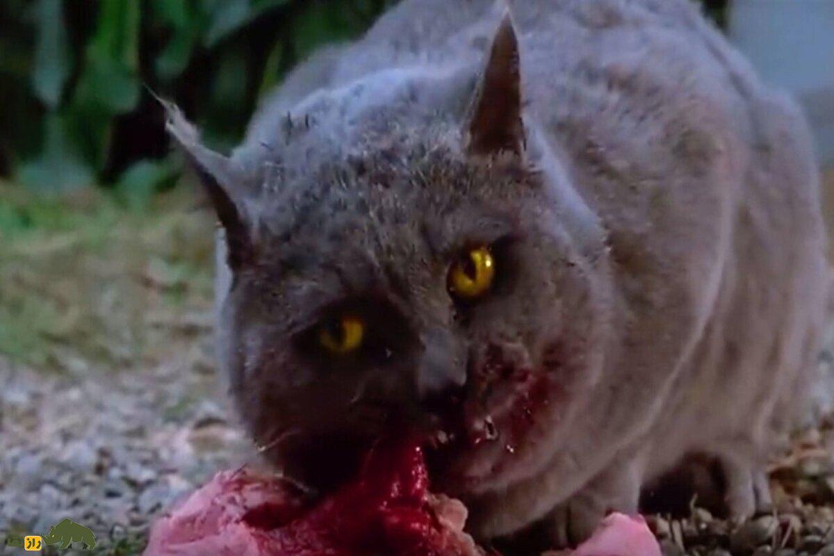 تاریکترین رازهای حیات وحش؛ از زندهخواری تا تجاوز و آدمخواری تاریکترین رازهای حیات وحش؛ از زندهخواری تا تجاوز و آدمخواری