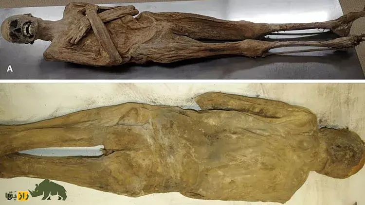 «کشیش خشک‌شده با هوا»؛ شخص مقدسی که از طریق مقعد مومیایی شد!